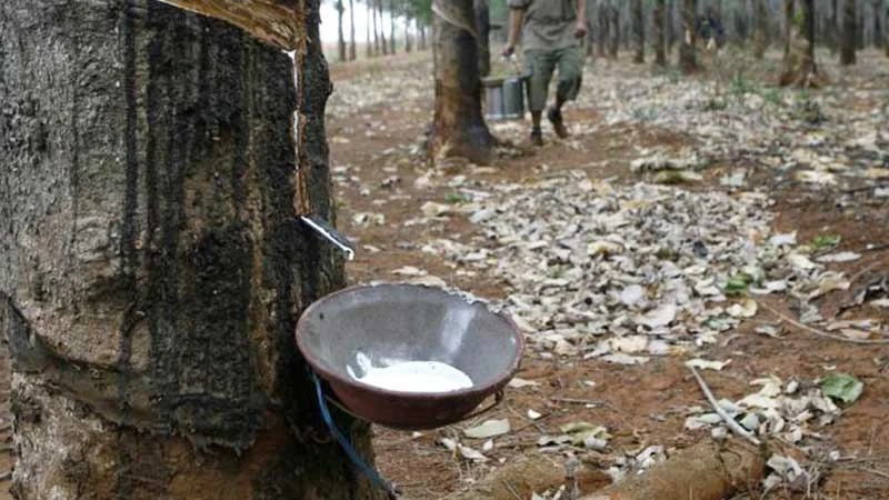 ভারতে চাহিদার তুলনায় অভ্যন্তরীণ সরবরাহ নিম্নমুখী