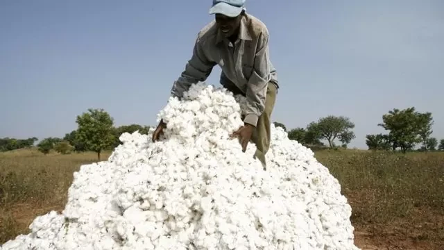 ভারত থেকে তুলা ও সুতা আমদানি বাড়ছে