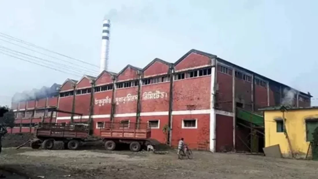 আগামী ১৫ নভেম্বর থেকে উৎপাদনে যাচ্ছে রাষ্ট্রায়ত্ত ৯টি চিনিকল, বন্ধ রয়েছে ছয়টি