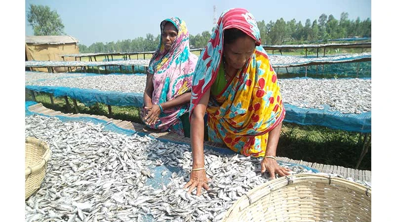 চাহিদার সঙ্গে বাড়ছে উৎপাদন