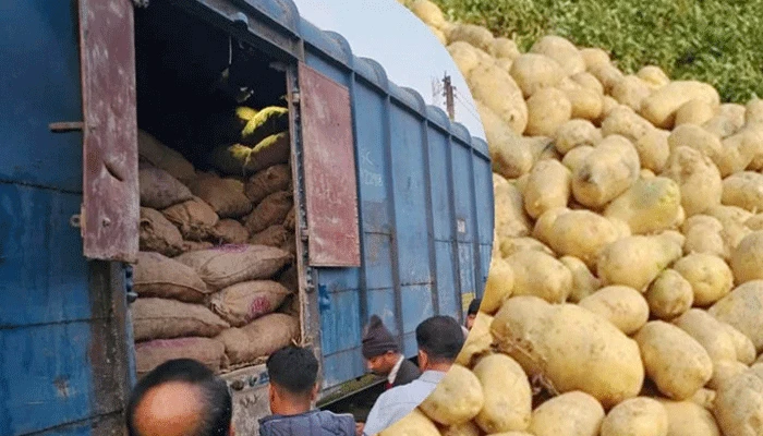 দেশের বাজার নিয়ন্ত্রণে বেনাপোল দিয়ে আমদানি হলো ১,৯০০ মেট্রিক টন আলু