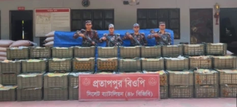সিলেট সীমান্তে বিজিবি'র অভিযানে দেড় কোটি টাকার চোরাই পণ্য জব্দ
