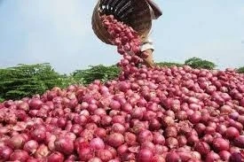 চট্টগ্রাম বন্দর দিয়ে পেঁয়াজ আমদানি বন্ধ