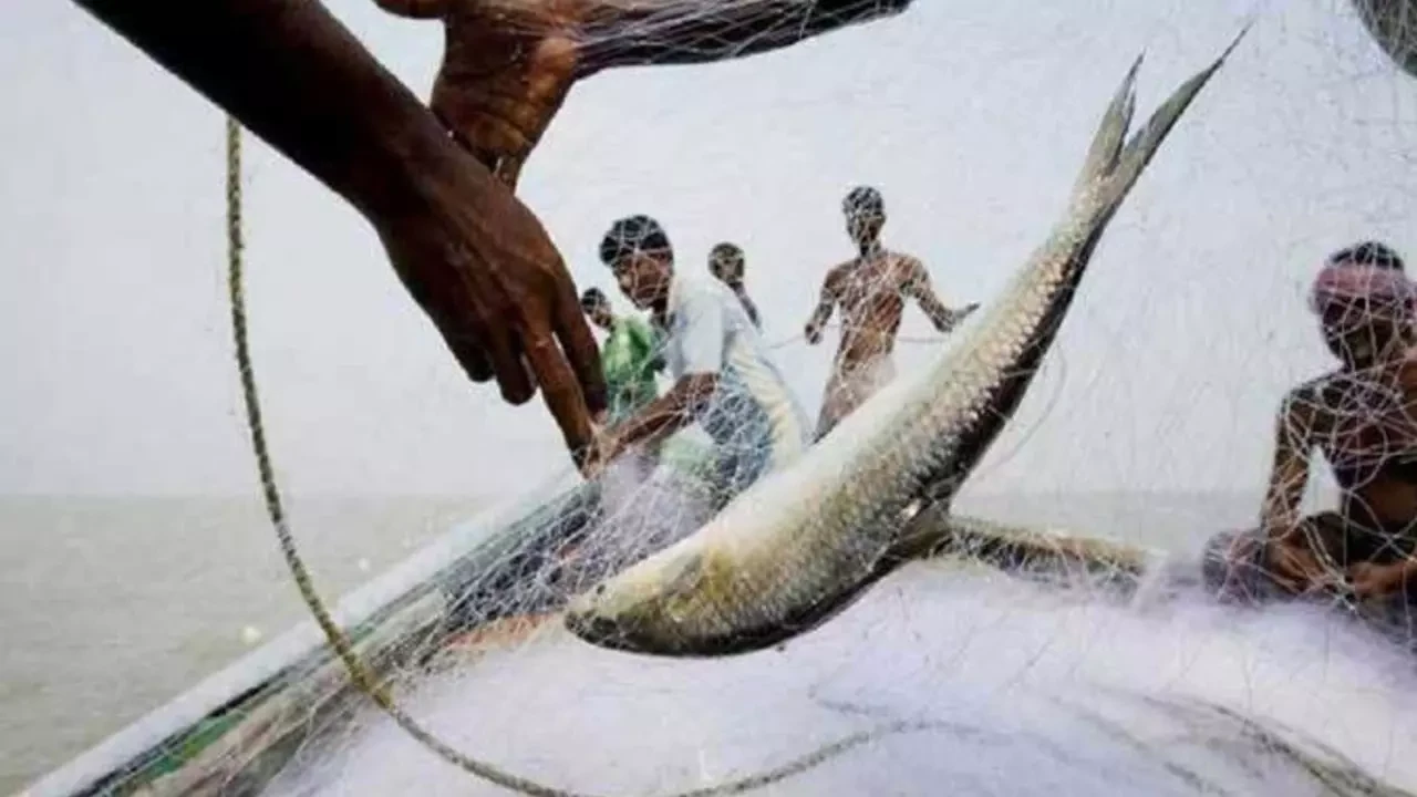 আজ থেকে পদ্মা-মেঘনায় মাছ ধরা বন্ধ