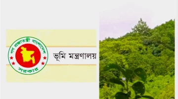 জনপ্রশাসন জন্য বন্দোবস্ত ৭০০ একর বনভূমি, বাতিল করল সরকার
