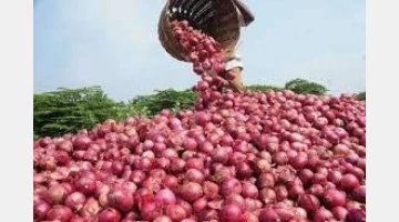 চট্টগ্রাম বন্দর দিয়ে পেঁয়াজ আমদানি বন্ধ