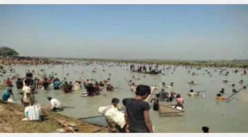 মাইকে ঘোষণা দিয়ে কয়েক কোটি টাকার মাছ লুটপাট